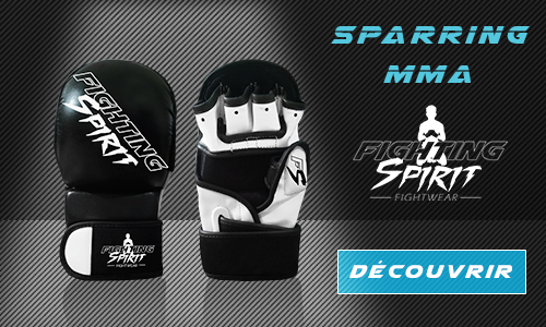 FIGHTING SPIRIT  Gants de boxe personnsalisables FIGHTING SPIRIT