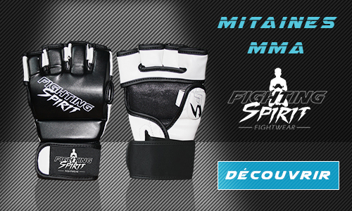 FIGHTING SPIRIT  Personnalisez vos gants de boxe ou de MMA